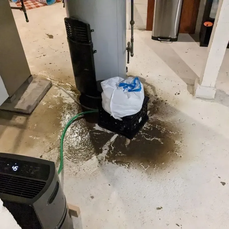 Sewage Backup Cleanup Service in Jefferson, IA